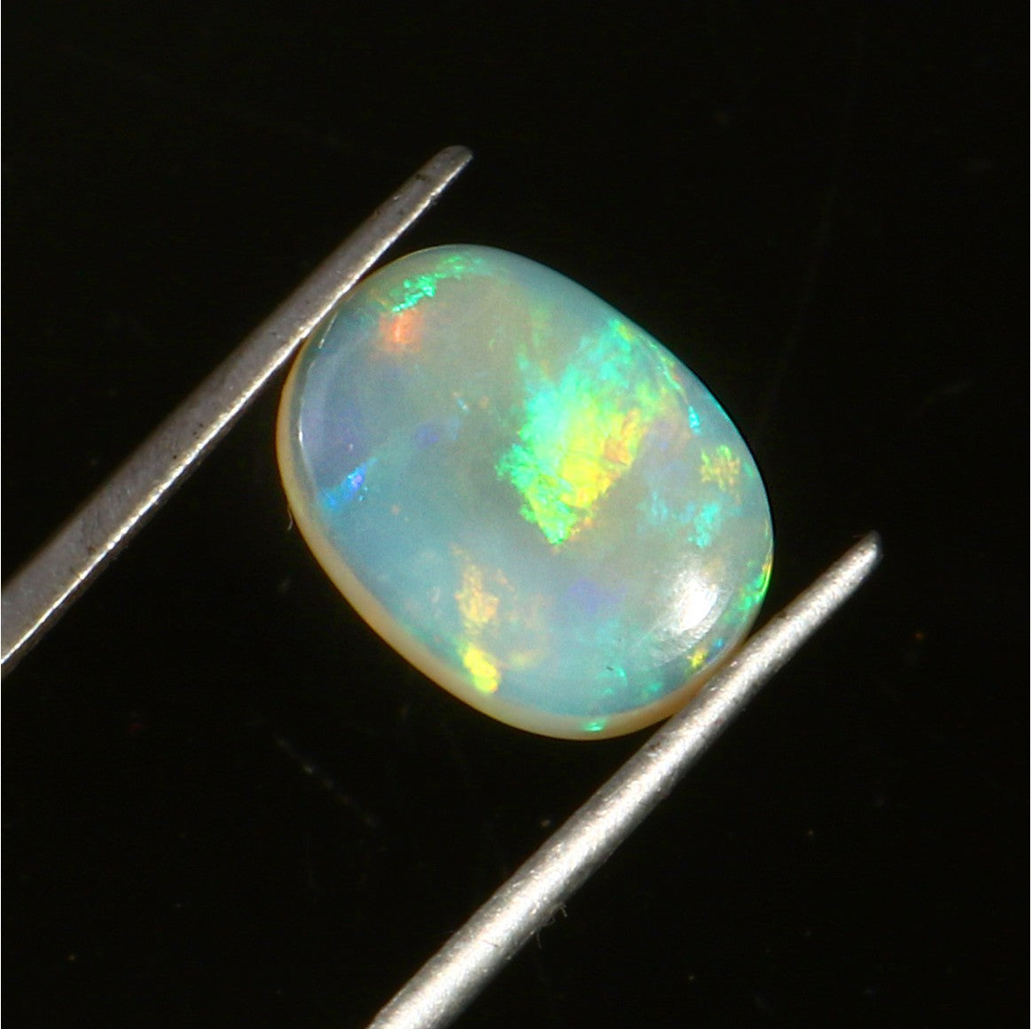 Australian Solid Jelly Opal